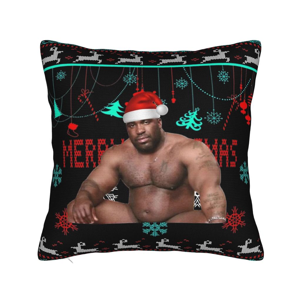 Decorative Pillow Cover Funny Barry Wood Meme Christmas Accessories Car Pillow Case Cover Zippered Multiple Sizes