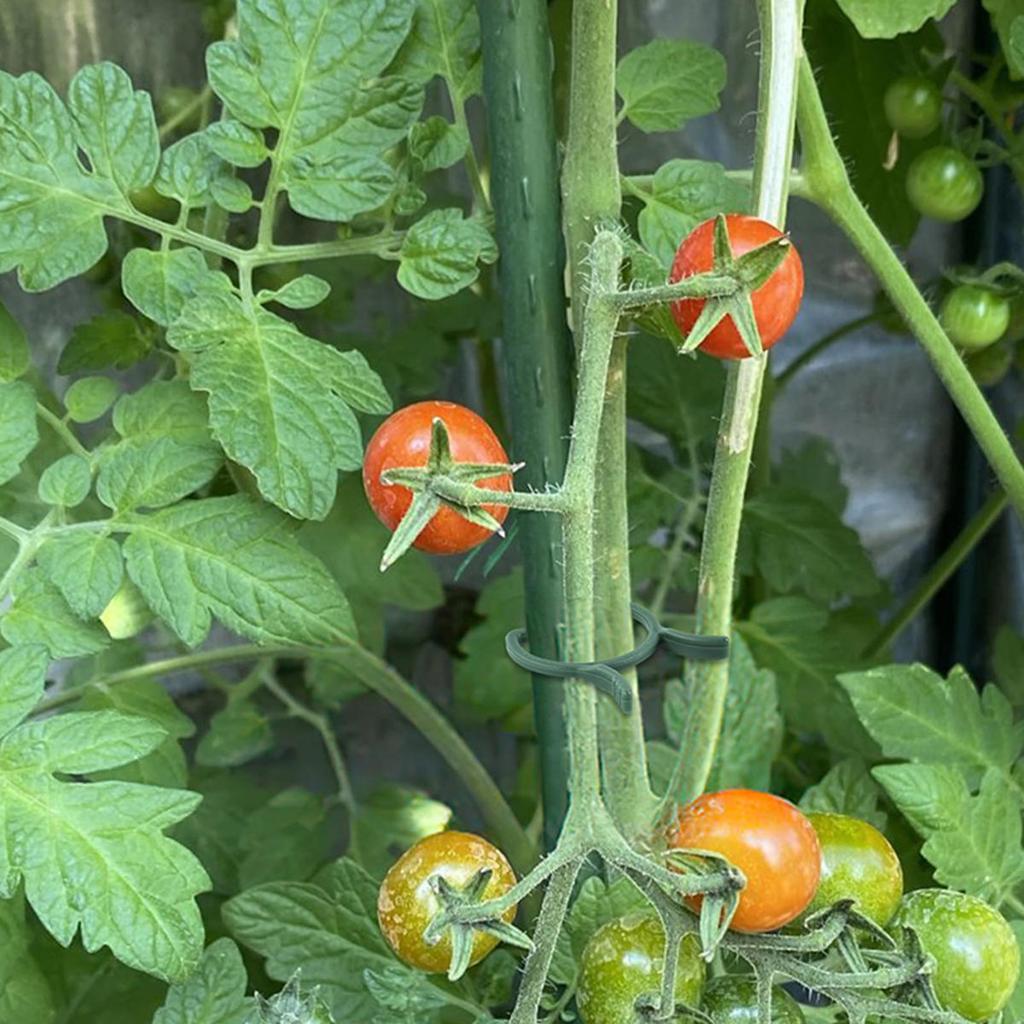 100/200pcs Plant Clips 3 Size Clips for Attaching Plants Garden Clamp Plant Support Clamp Climbing Plant Clip Plant Clip