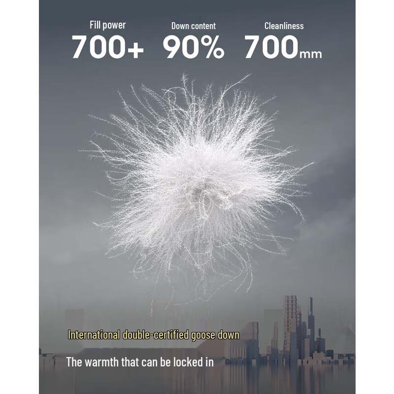 Bosideng Men's Down Vest B250134101