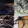 Giant Black Spider Halloween Party Decor for Home 2026 Outdoor Haunted House Ornament Trick or Treat Big Black Spider