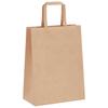 Paper Bags 250 Pcs. With Handles Brown 21X11X28 Cm