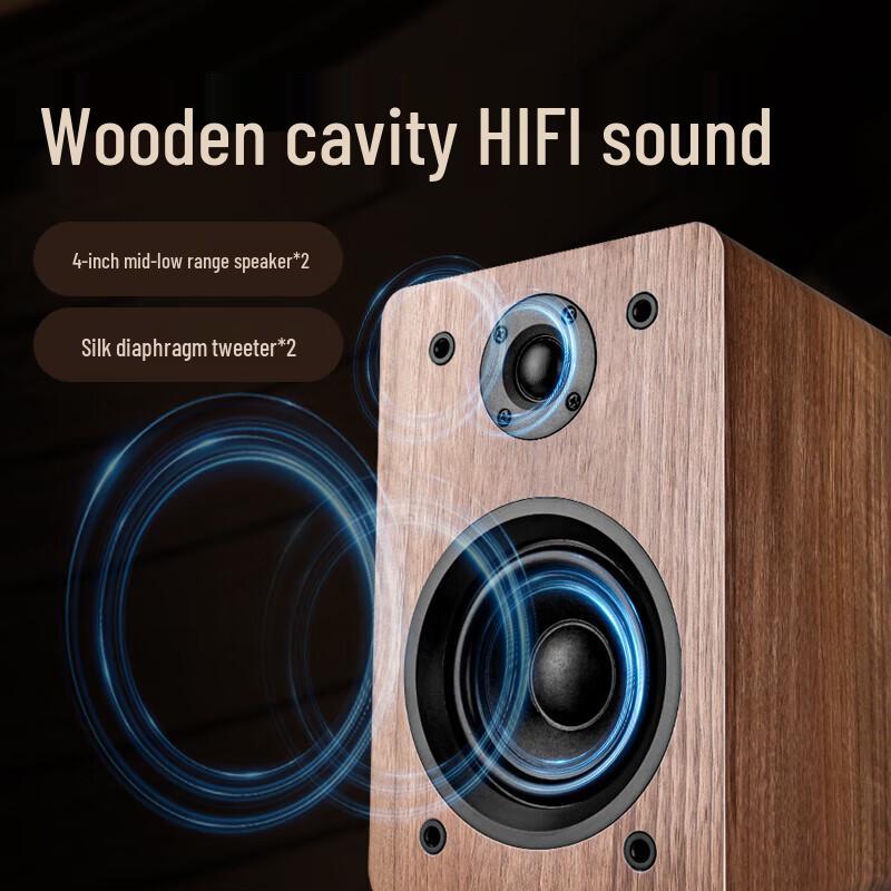 Shan Shui V31 Retro Bluetooth Vinyl Record Player with KTV Speaker