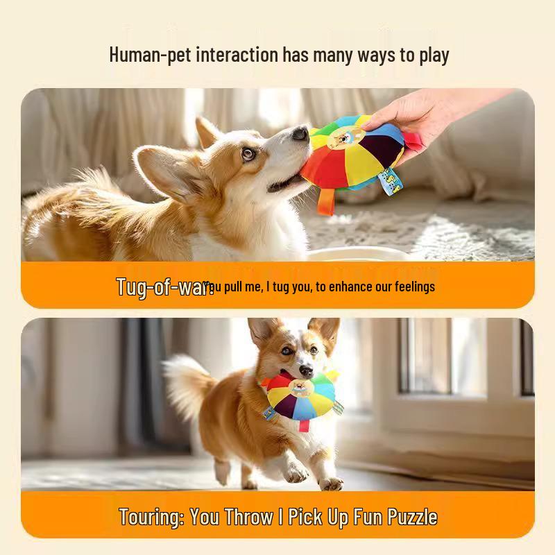 Corgi Självlek Ljudande Frisbee: Hållbar husdjursleksak för energi- och tristesslindring