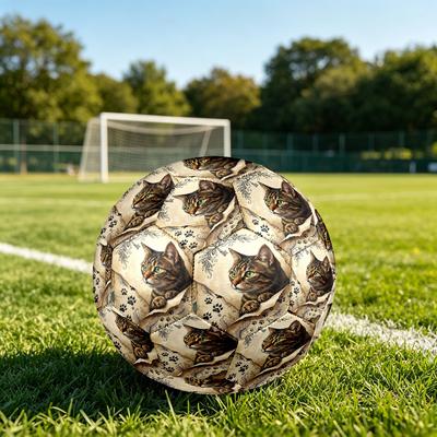 1pc Cat Key Artwork Theme Soccer Ball Football, Size 5, Lightweight PVC, Outdoor Training Soccer Ball,Gift C6590