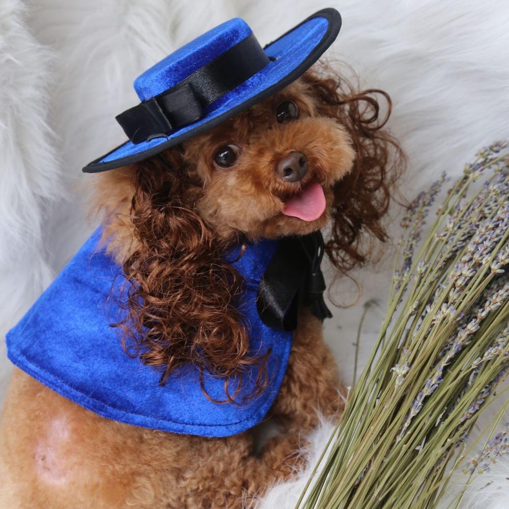 Dog clothes turned funny pet supplies cross-border hat cape set pet halloween costume