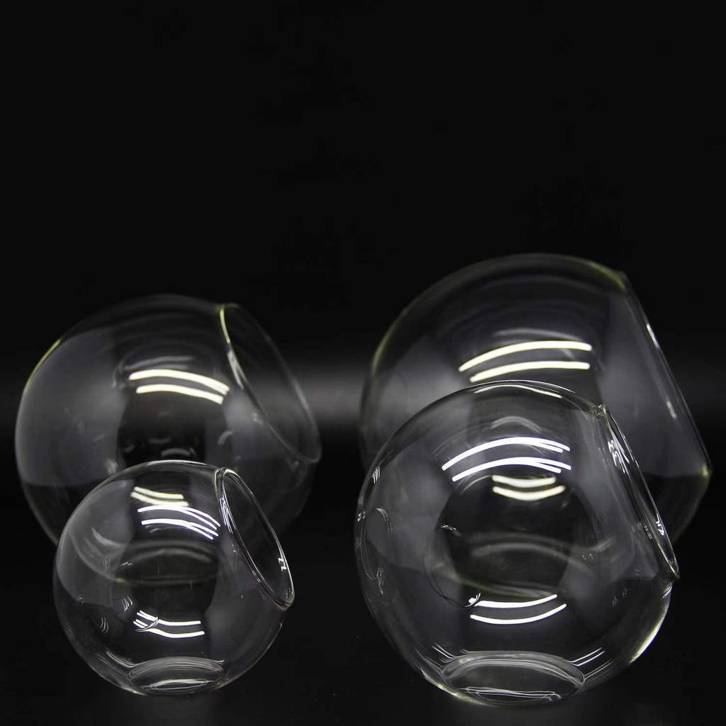 Transparent Slanted Glass Vase for Succulents and Hydroponic Flowers