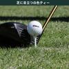 Tabata Golf Wooden Large Long GV8035 Tees, Tees, White, 60-Pack, Capacity, Tees, 70mm,