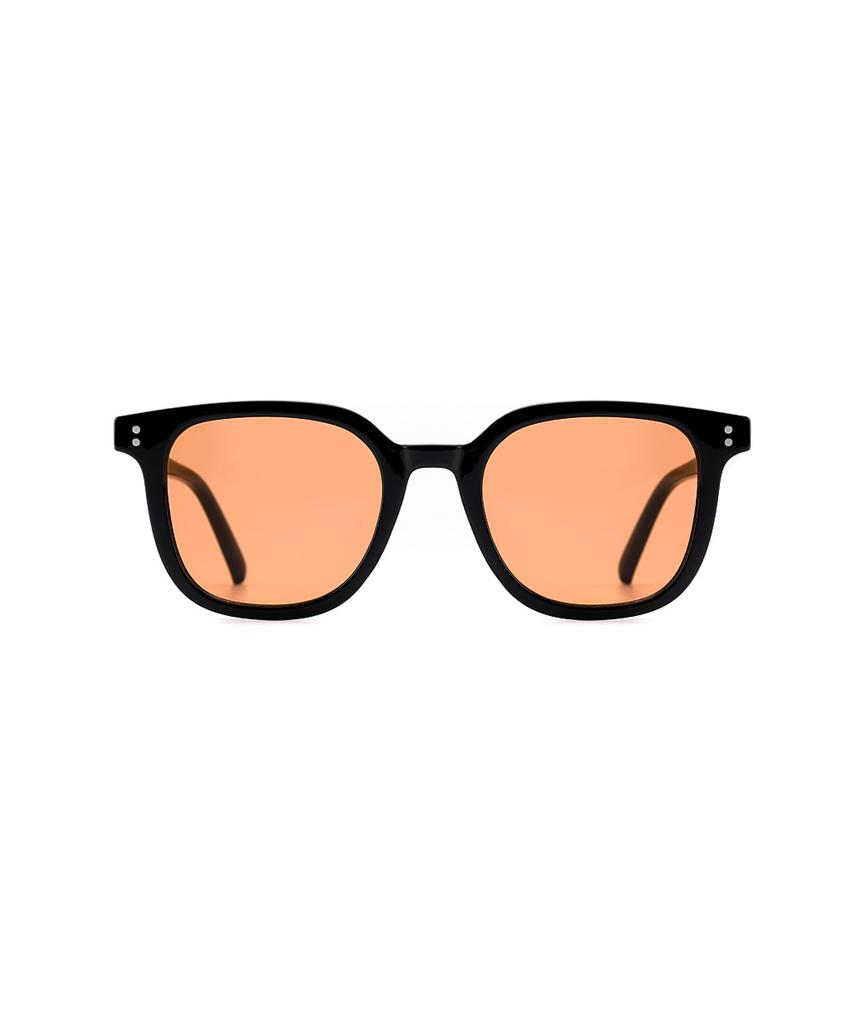 Lukadiseu Ls19 Ancona Oversized Two Dot Tinted Sunglasses 4 Colors