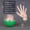 Mini 1/2 Scale Gashapon Palm Model: Super Movable Finger Joints - Left & Right Hands for Drawing & Sketching