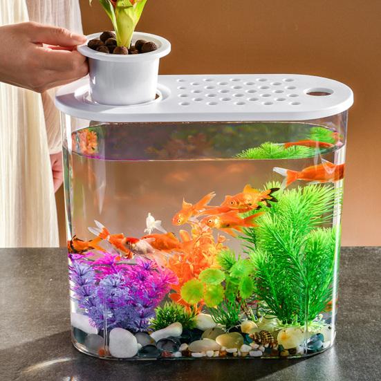 Elegante ciotola per pesci da tavolo con fori e coperchio, coltura idroponica, perfetta per la casa o l'ufficio.