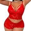 European and American sexy lace erotic underwear perspective temptation pajamas loungewear women's two-piece suit