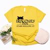 Dragonfly Inn Shirt Gilmore Girls TV Show Inspired T Shirt Stars Hollow Graphic Tee Short Sleeve Tshirt