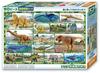 BEVERLY In Beverly 80 Piece Jigsaw Puzzle Ania Dinosaur Secret X [Made Japan] (26 38cm) 80-039