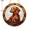 Cute Animals Dog Cat Suncatcher, Art Stained Window Hanging, Sun Catcher, Sunshade, Animals Lover Gift, Acrylic Round Garland Sign- Light