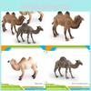 Animal Wildlife Pvc Model Single Hump Camel Decorative Toy For Kids Educational Gift