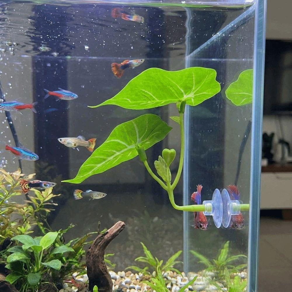 Artificial Fighting Fish Resting Leaves Simulated Lotus Leaves Fish Hammock Betta Fish Tank