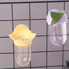 Eco-Friendly Parrot Feeding Device Reusable Flower Arrangement Jar  Vegetable Sprouting
