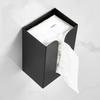 Juyuan Wall-Mounted Stainless Steel Tissue Holder