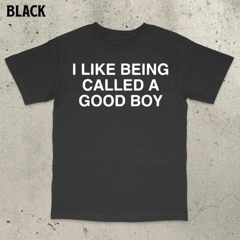 

Good Boy Shirt Funny Meme Shirt Stupid Shirt Dumb Shirt Brain Rot Shirt Embarrassing Shirt Funny saying shirt S