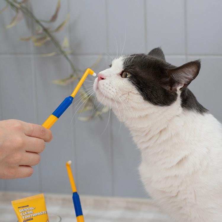 Deep Point Toothbrush (3 EA) Dog Cat Ultra-small Ultra-fine Molar Toothbrush
