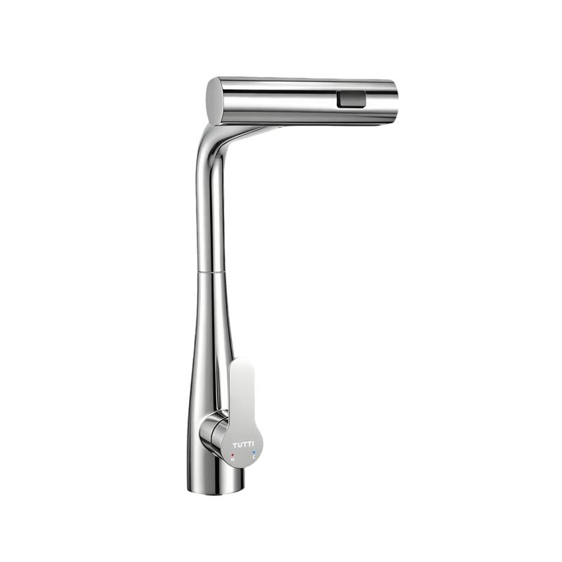 TUTTI Brushed Silver Pull-out Swivel Kitchen Faucet