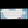 Periferice pentru calculatoare – Tastaturi