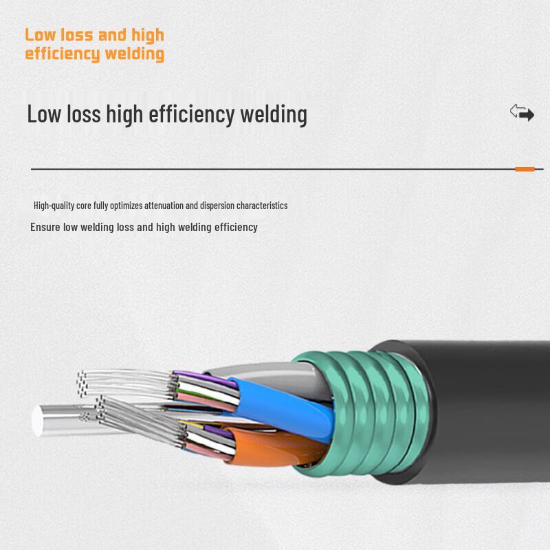 Armored Single-Mode Outdoor Optical Cable 1m