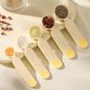 Portable Kitchen Measuring Spoon Stacking Coffee Sugar Scoop Baking Measuring Set  Cake Baking