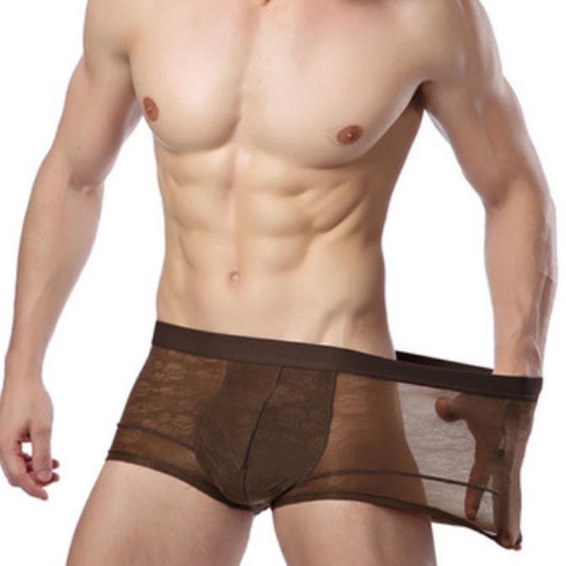 Men's Breathable Transparent Boxer Briefs Sexy Underwear Panties Briefs