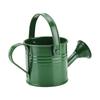 Mini Grüne Gießkanne 160ml Kleines Fassungsvermögen Gartenpflanzen Sprühkanne Topf