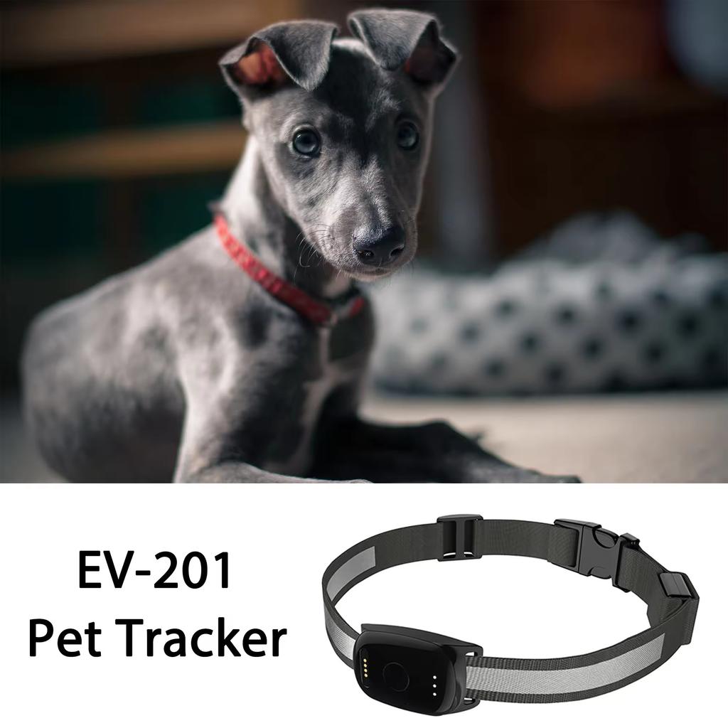 New Multi-function Locator Pet Cat Anti-lost Device GPS+ WIFI Gps Navigation tracker Smart Dog Collar Pet tracker for Waterproof