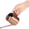Small Watering Can, 10oz/300ml Stainless Steel Water Can for Indoor Plants Small Long Spout Watering Pot for House Plants, Succulents and Bonsai