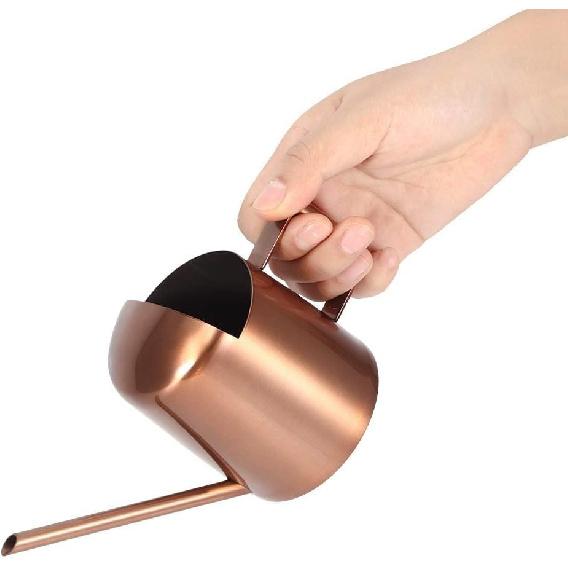 Small Watering Can, 10oz/300ml Stainless Steel Water Can for Indoor Plants Small Long Spout Watering Pot for House Plants, Succulents and Bonsai
