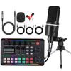 X1 English Sound Card Kit: Desktop Tripod, Mobile/PC Compatible for Live Broadcast, Singing, and Recording