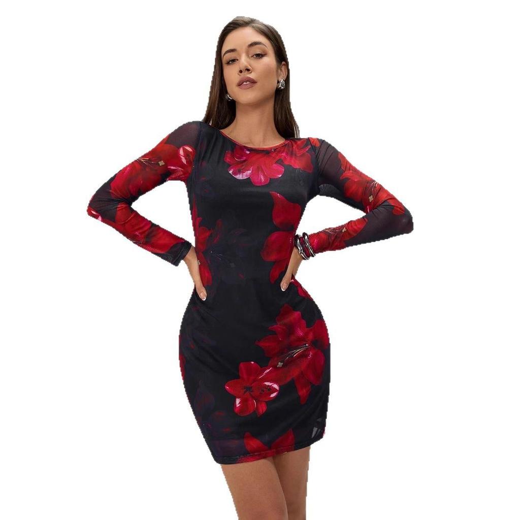 Women Floral Print Mesh Dress Round Neck Long Sleeve Slim Maxi Dress Spring