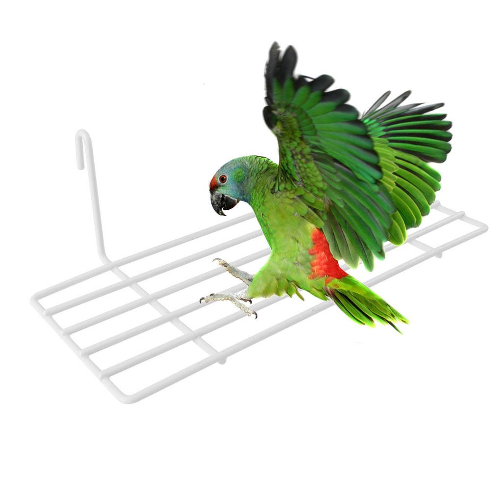 1Pcs Bird Cage Shelfmetal Grid Iron Frame Hanging Wall Decoration Perch for Parrot Cockatiel Small Pet Bird Playstand