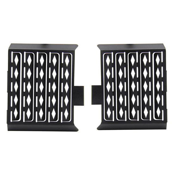 BMW G650GS/F650GS Radiator Grille Protector