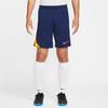 Nike AS M NK DF STRK Casual Shorts Men's FN2402-494