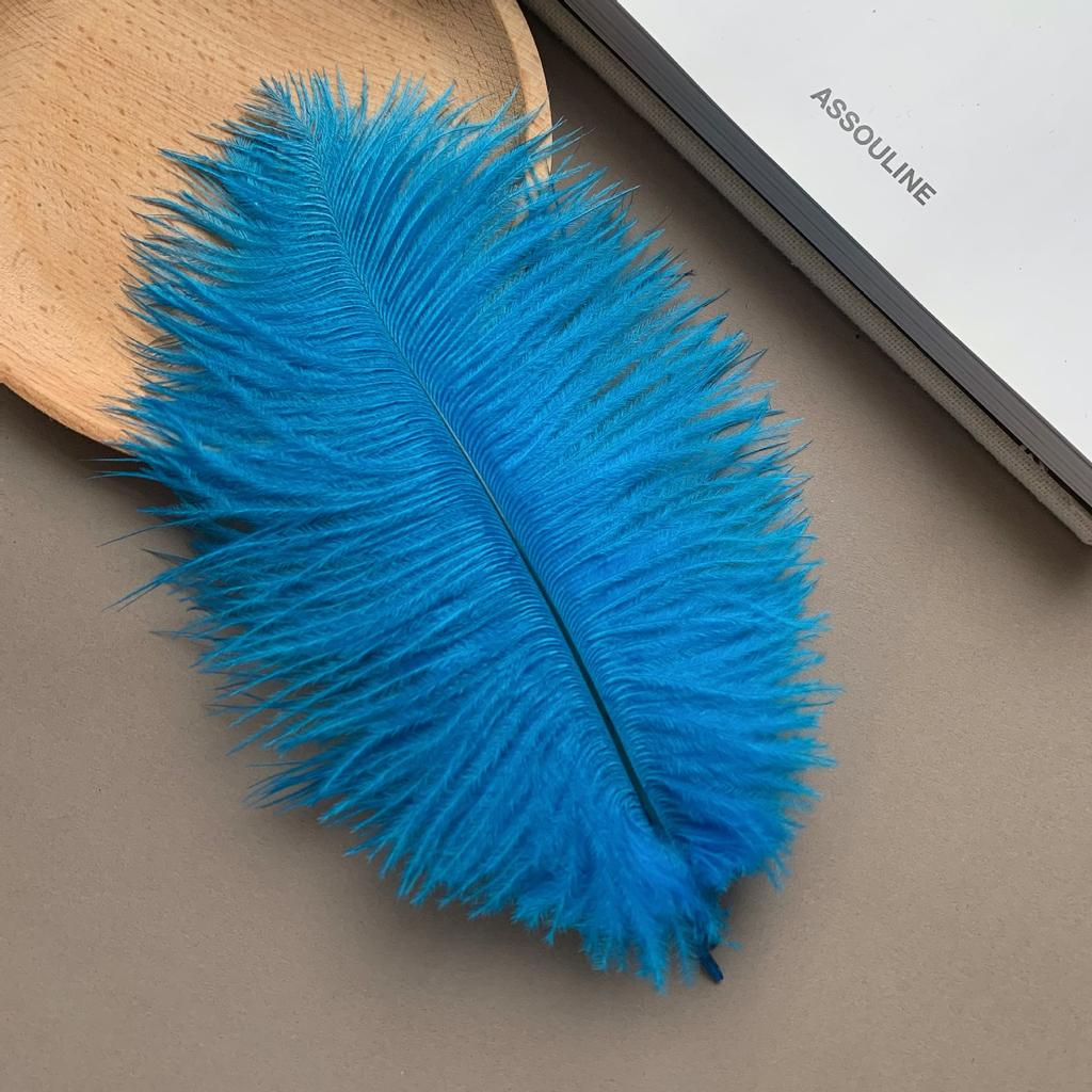 Color ostrich hair 15-20CM ostrich feather Internet celebrity photo background wall feather cake flower arrangement DIY decoration