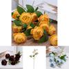 Paeonia Suffruticosa Silk Flowers For Wedding Backdrop And Event Photography With Realistic Look
