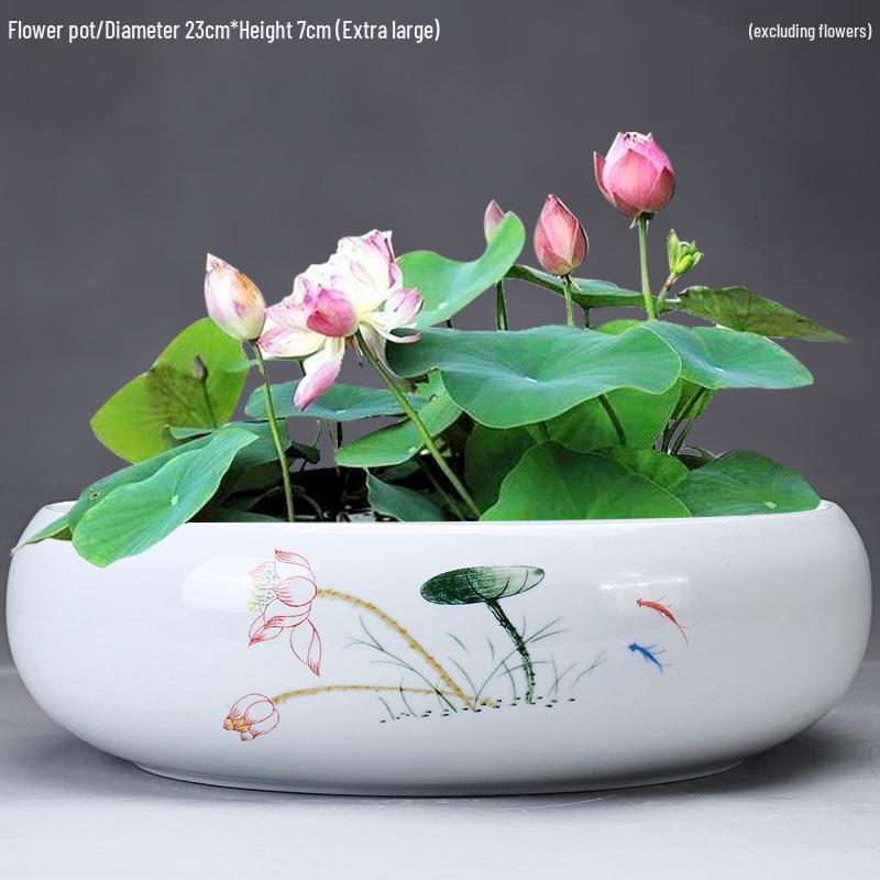 Großer Keramik-Lotus Seerose Hydroponischer Blumentopf ohne Abfluss