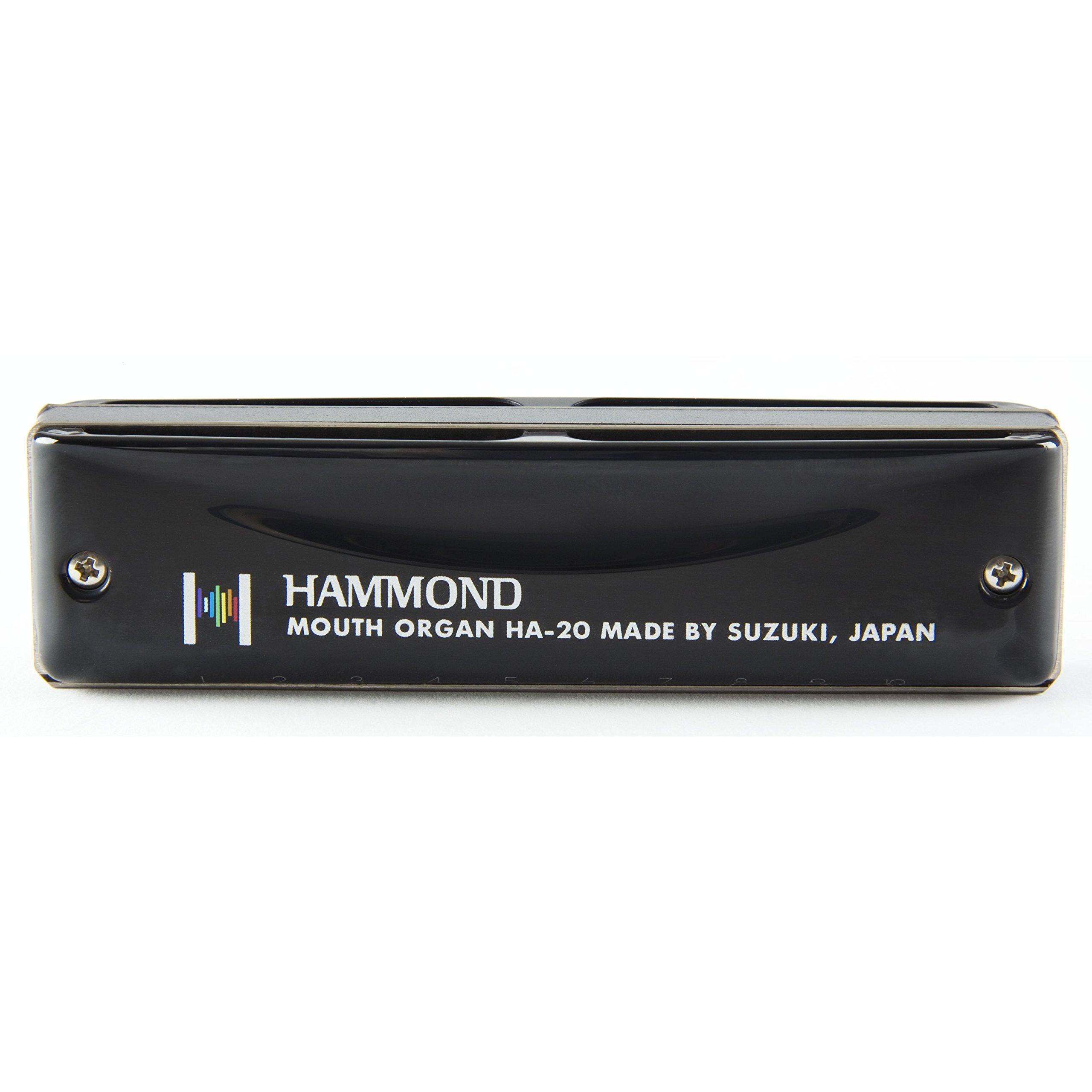 HAMMOND HA-20 10-дырочная губная гармоника в тональности D