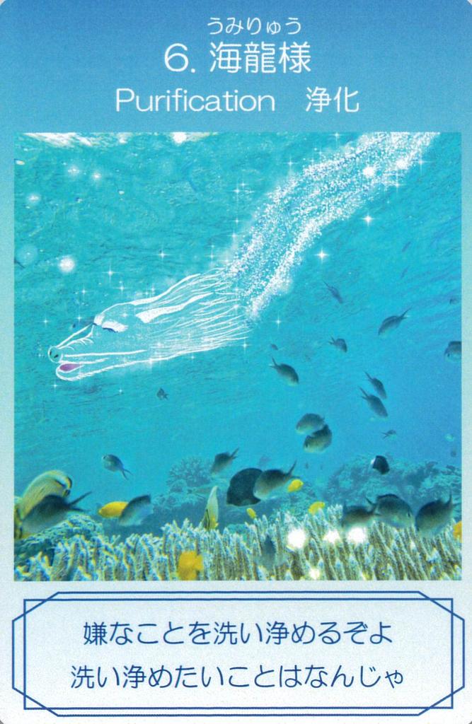 Dragon Healing Oracle Cards | Tidasato and Ryu Aikawa | 38 Cards with Japanese Instructions [Authentic]