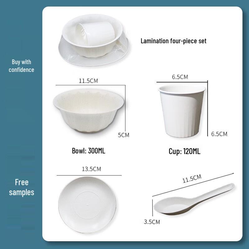 Ailan Huijia DH Disposable Banquet Tableware Set 10 sets * 300ML