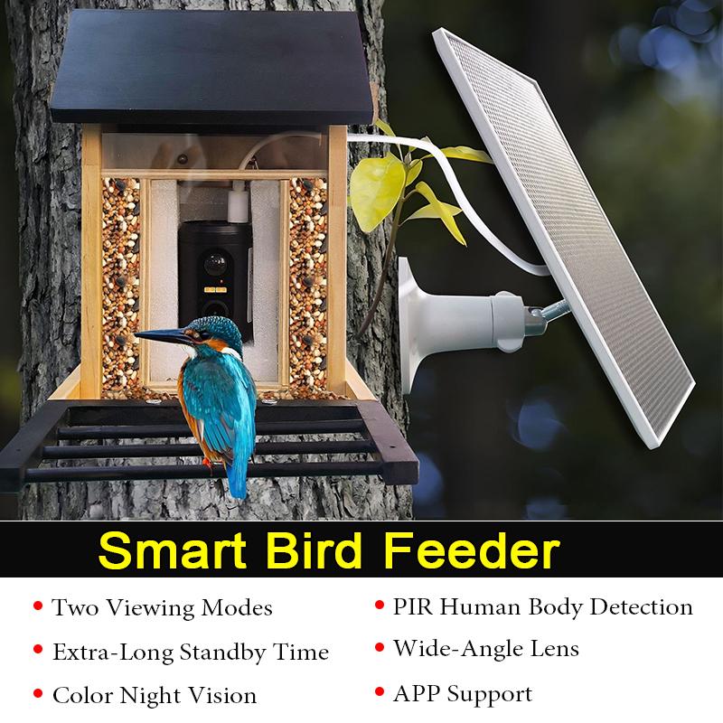 Smart Bird Feeder with 1080P Cam Built-in Battery Solar Low Power Night Vision Remote Recording Outdoor IP66 Waterproof Feeder