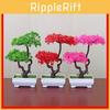 Handcrafted Plastic Indoor Bonsai Accent For Office And Home