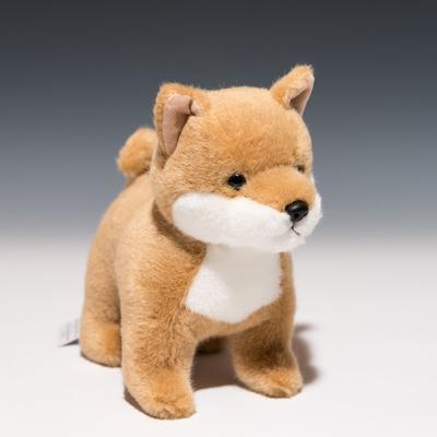 Shiba Inu in piedi