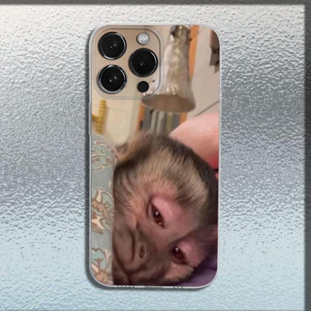 Cute Funny Monkey Phone Case For iPhone 16,15,14,13,12,11 Plus,Pro,Max,XR,XS,X,Plus,SE,Mini Transparent Soft Cover