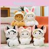 Baby Bear Plush Toy With Pp Cotton Filling For Sleep Comfort And Soft Toy Gift For Kids