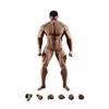 Scale Male Figure Seamless Super Muscle Type Figure Body Body Set with Two Male Genitalia 1/6 [TBLeague] PL2018-M35